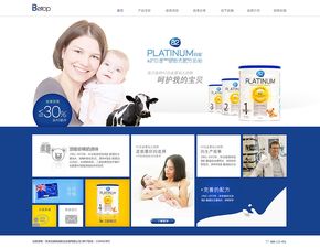 天津网站建设 母婴食品官网
