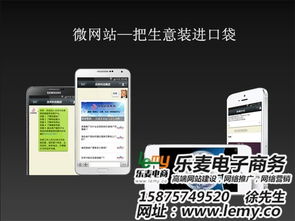 微信网站开发制作 乐麦专注网站设计 在线咨询 微信网站