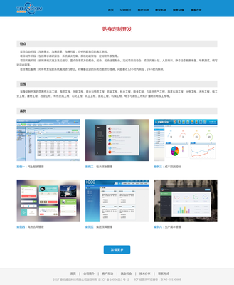 泰坦通信网站|网页|企业官网|yayaLadys 