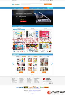 日本代购网站建设公司,雅虎代拍代标系统