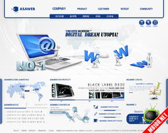 单独开发网站样式