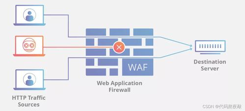 搞安全开发都是用什么编程语言