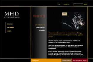 网站不断发展新功能,同时也为阁下在业务上带来不少方便,包括全天侯展示商品及服务 和客人的互动联系 节省工作时间及人手等